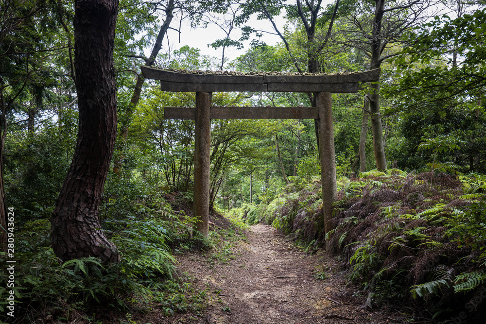 Large shinto gate over forest trail in mountains Large shinto gate over forest trail in mountains