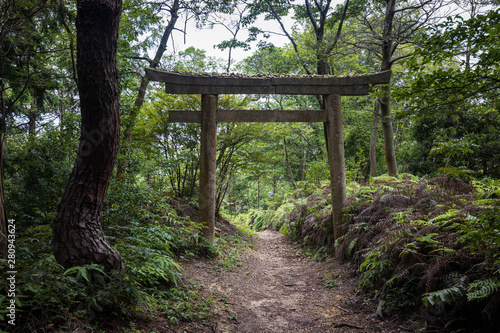 Large shinto gate over forest trail in mountains © Osaze