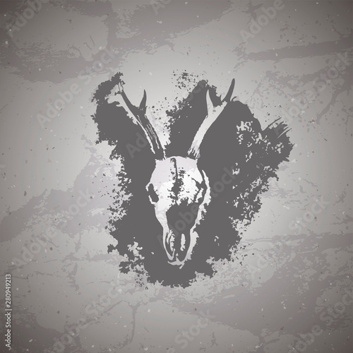 Vector illustration of hand drawn skull roe deer and grunge elements on vintage background. Sketch in dark color.