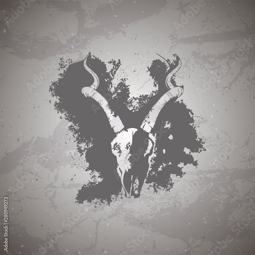 Vector illustration of hand drawn skull antelope and grunge elements on vintage background.