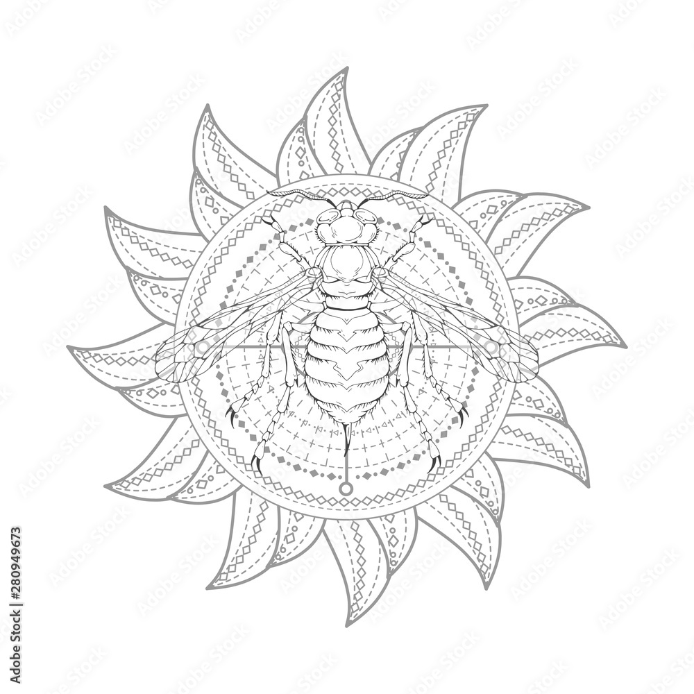 Vector illustration with hand drawn wasp and Sacred symbol on white background. Abstract mystic sign. Vector illustration with hand drawn wasp and Sacred symbol on white background. Abstract mystic sign.