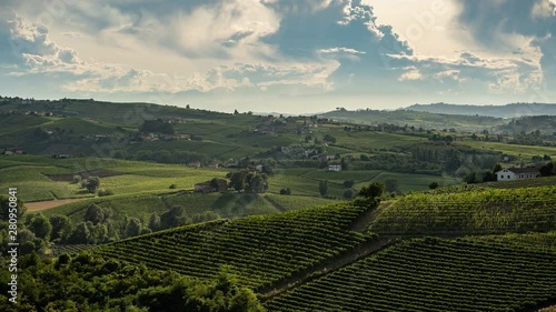 Aerial landscape beautiful green hills of vineyards of Tuscany and Piedmont, Italy. Region wine area langhe, monferrato and roero fields. 