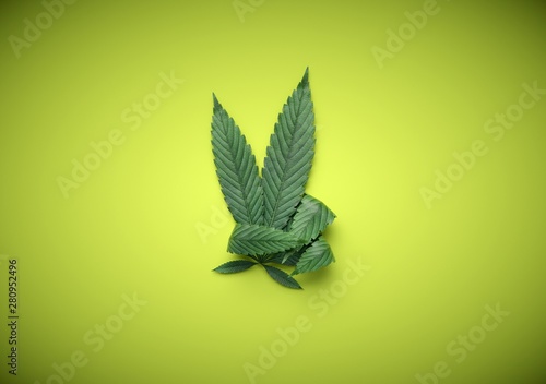 The legalization of cannabis approved. Marijuana leaves with hand shape with two fingers up. photo