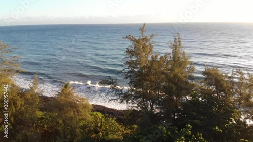 early morning aerial beach reveal from the trees of Waimanu Valley on the big island of hawaii photo