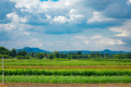 Agriculture in the fertile volcanic landscape on Lake Constance.