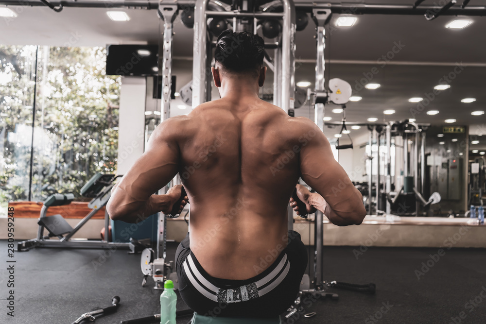Fototapeta premium Athlete makes low cable pulley row seated in gym. Close back view