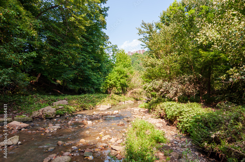 Nine Mile Run, a stream in Frick Park, Pittsburgh, Pennsylvania, USA which runs through the park and leads into the Monongahela River Nine Mile Run, a stream in Frick Park, Pittsburgh, Pennsylvania, USA which runs through the park and leads into the Monongahela River