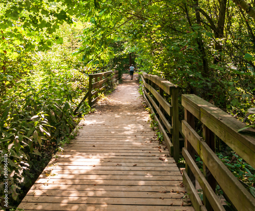 A man walking on a wooden walkway in Frick Park  Pittsburgh  Pennsylvania  USA in summer time