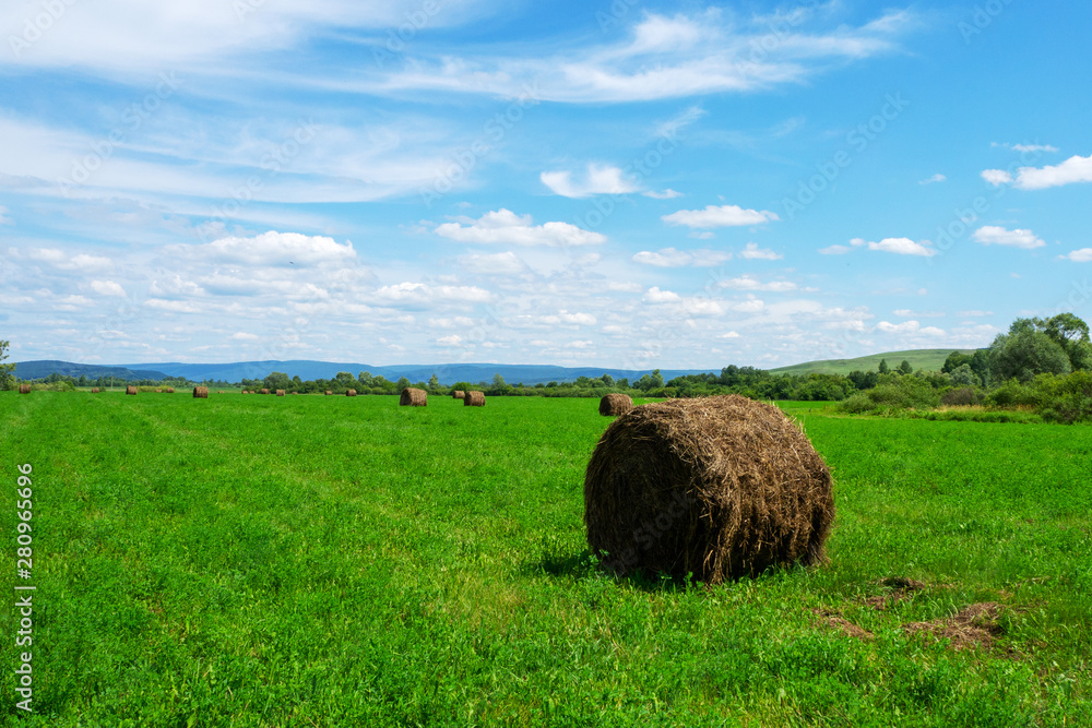 Bales of hay on a green field. Summer, sunny landscape.