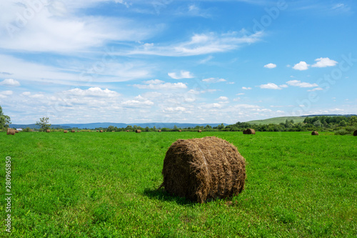 Bales of hay on green grass. Field. Rural landscape.