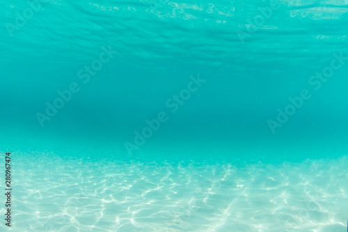 Looking under the water in the ocean