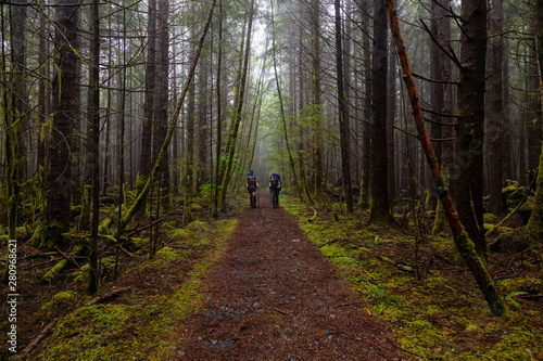 Adventurous female friends are hiking Juan de Fuca Trail in the woods during a misty and rainy summer day. Taken near Port Renfrew, Vancouver Island, BC, Canada.