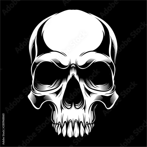 skull,.vector hand drawing,Shirt designs, biker, disk jockey, gentleman, barber and many others.isolated and easy to edit. Vector Illustration - Vector