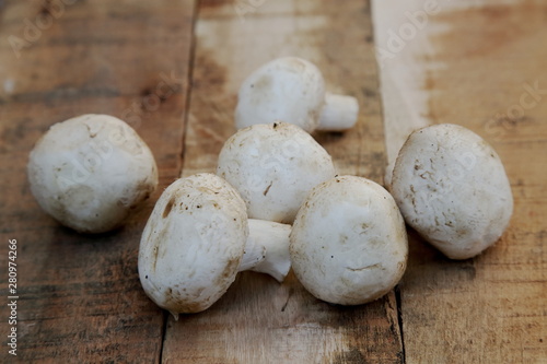 edible mushrooms campignon on rustic wooden background