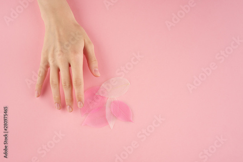 Woman touching pink leaves on pastel background top view copy space  concept of softness and tenderness
