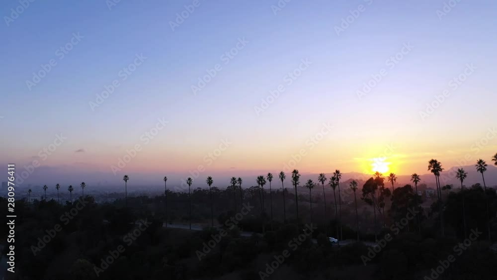 Drone flying over palm trees in Los Angeles, California. The sun bathes the palm trees in warm, energizing light. Drone flying over palm trees in Los Angeles, California. The sun bathes the palm trees in warm, energizing light.