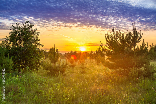 spring landscape with forest and meadow at sunrise