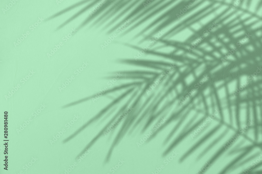 Obraz premium Gray shadow of natural palm leaves on a trendy neo mint colored concrete textured wall with roughness and irregularities. Abstract nature tropical background. Copy space. Year color trend concept.