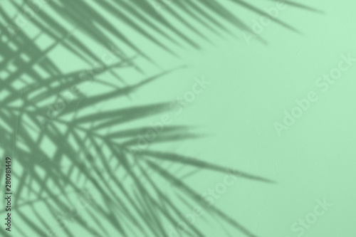 Gray shadow of natural palm leaves on a trendy neo mint colored concrete textured wall with roughness and irregularities. Abstract nature tropical background. Copy space. Year color trend concept.