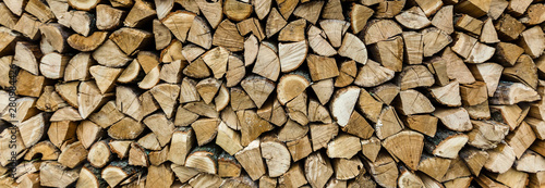 Closeup of logs of trees in nature. a lot of cutted logs.