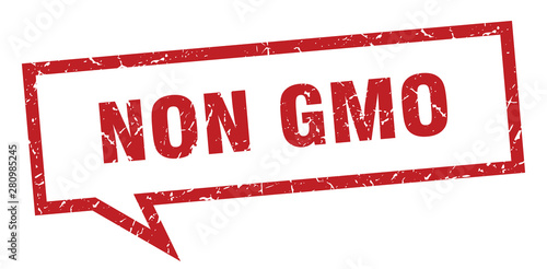 non gmo sign. non gmo square speech bubble. non gmo