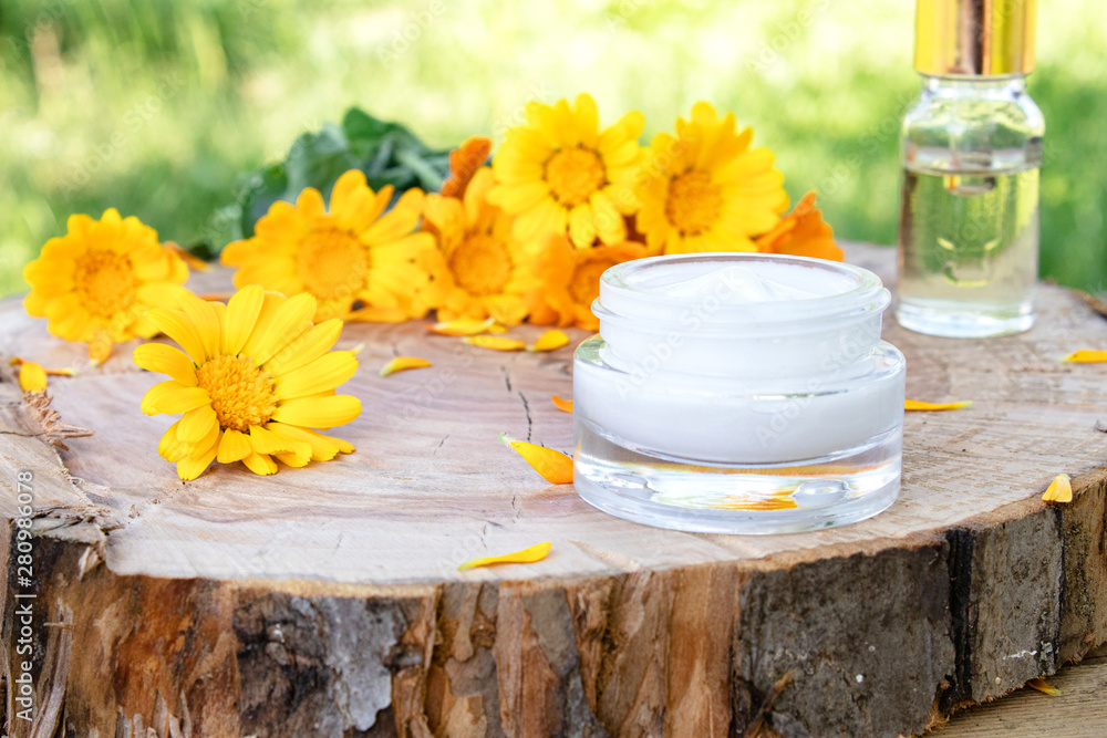 Nourishing cream with calendula extract with fresh calendula flowers on a wooden background in nature. - obrazy, fototapety, plakaty 