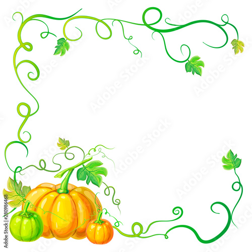 autumn frame with pumpkins and vines, leaves and place for text. Thanksgiving, halloween or corn festival card template, border or banner with pumpkins, leaves, curly tendrils. pumpkins concept