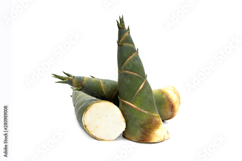 Fresh Bamboo shoot kim sung are raw material to cook. Popular in many asian countries and a variety of cooking methods. isolated on white background. photo