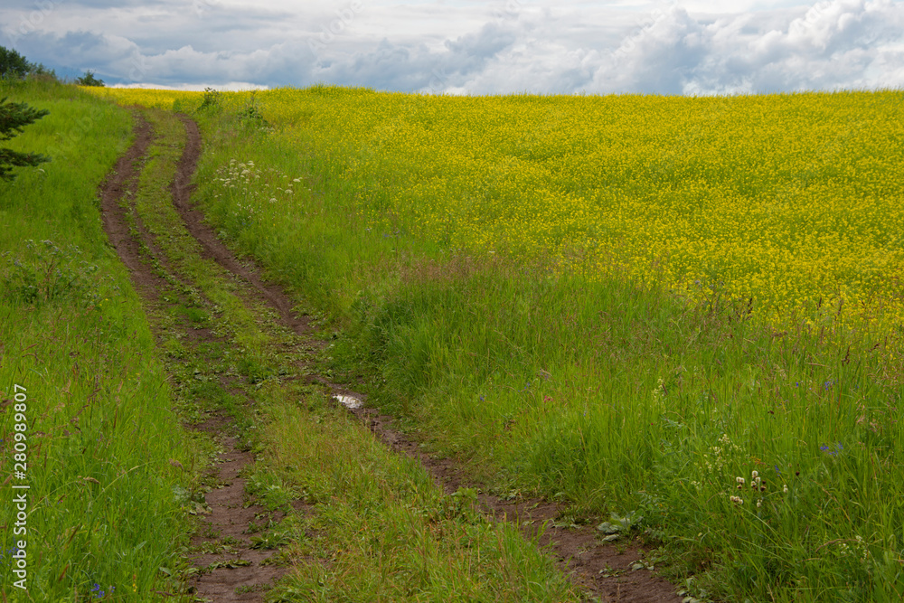 Natural landscape - the nature in sunny day Natural landscape - the nature in sunny day