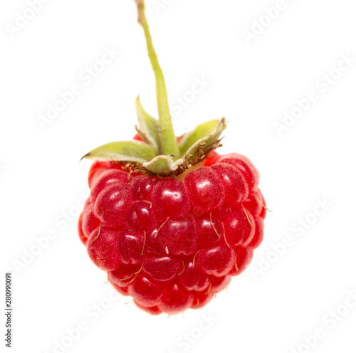 red ripe raspberries on white background