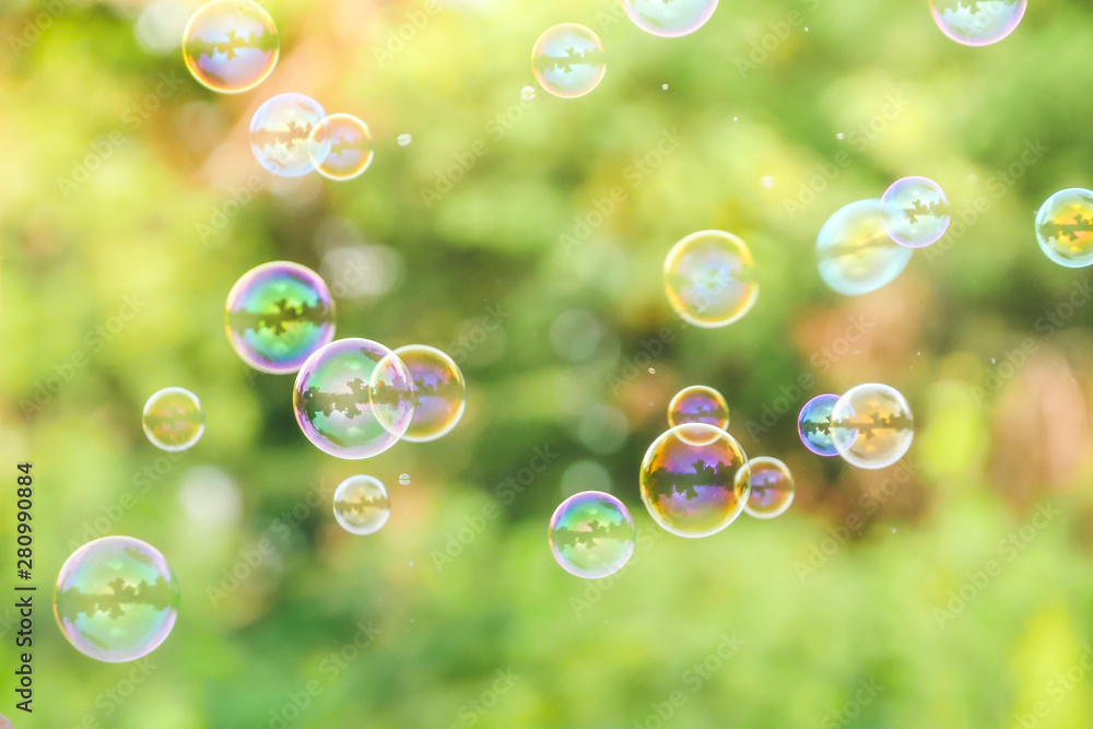 soap bubbles on green nature background