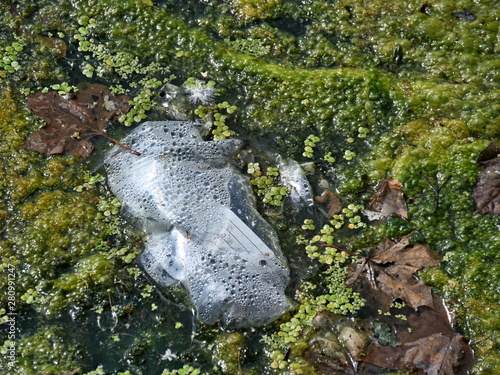 Environmental sin - plastic bag, freezer bag in a body of water photo
