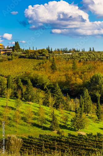 landscape with trees and blue sky, Tuscany, Italy 