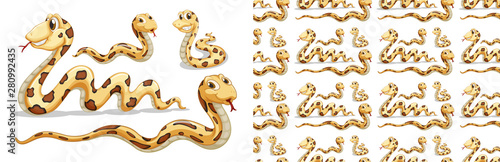 Seamless and isolated animal pattern cartoon
