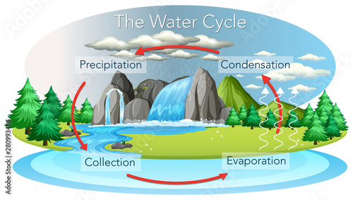 Water cycle process on Earth - Scientific