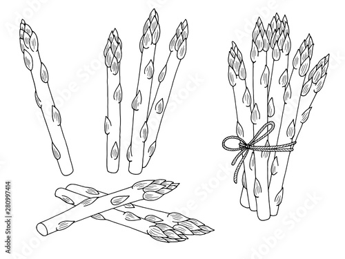 Asparagus graphic black white isolated sketch set illustration vector