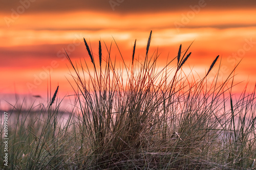 Fototapeta Naklejka Na Ścianę i Meble -  ostsee