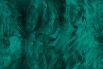 Beautiful dark green viridian vintage color trends feather texture background