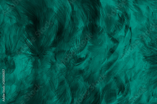 Fototapeta Naklejka Na Ścianę i Meble -  Beautiful dark green viridian vintage color trends feather texture background