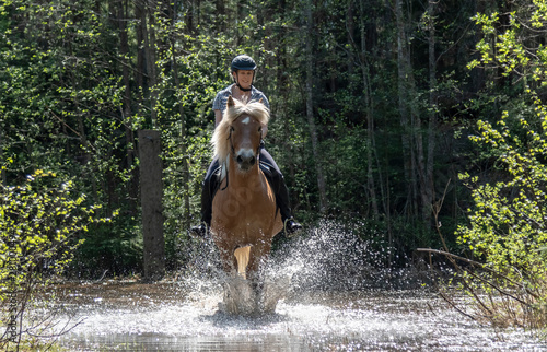 Woman horseback riding in water