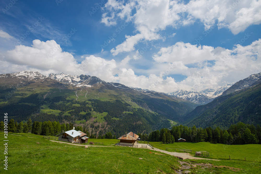 View from the Gavia pass, an alpine pass of the Southern Rhaetian Alps, marking the administrative border between the provinces of Sondrio and Brescia, Italy.
