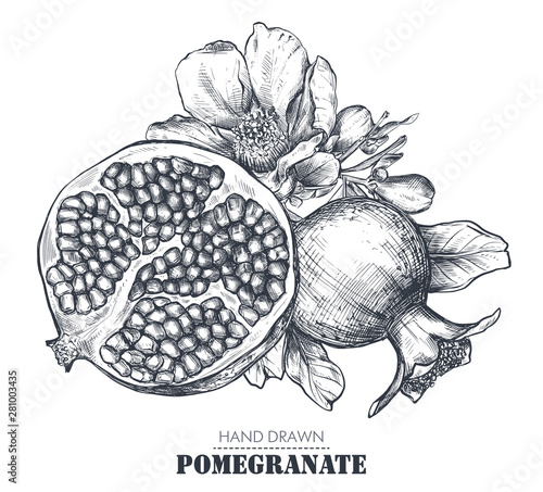 Vector composition of pomegranate fruits, flowers, branches.