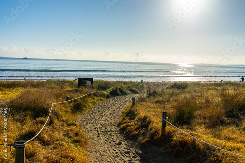Beach Auckland