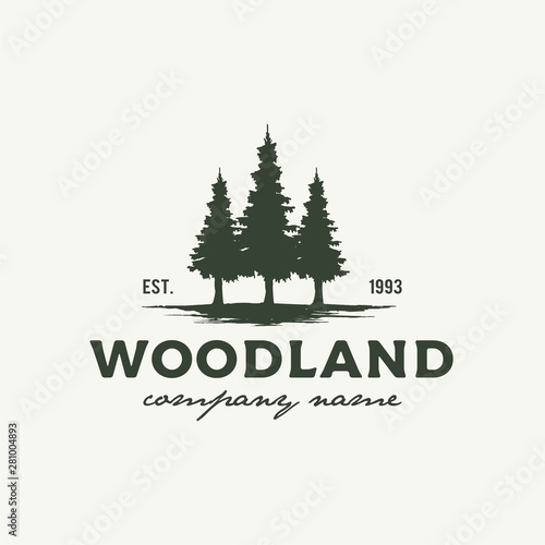 Rustic Retro Vintage Woodland, Evergreen, Pines, Spruce, Cedar trees logo design