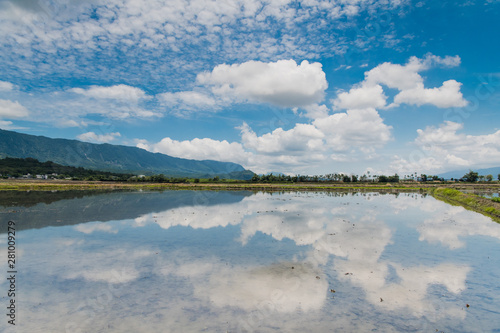 Fototapeta Naklejka Na Ścianę i Meble -  Reflection of paddy fields, mirror of the sky, Landscape View Of Beautiful Rice Field