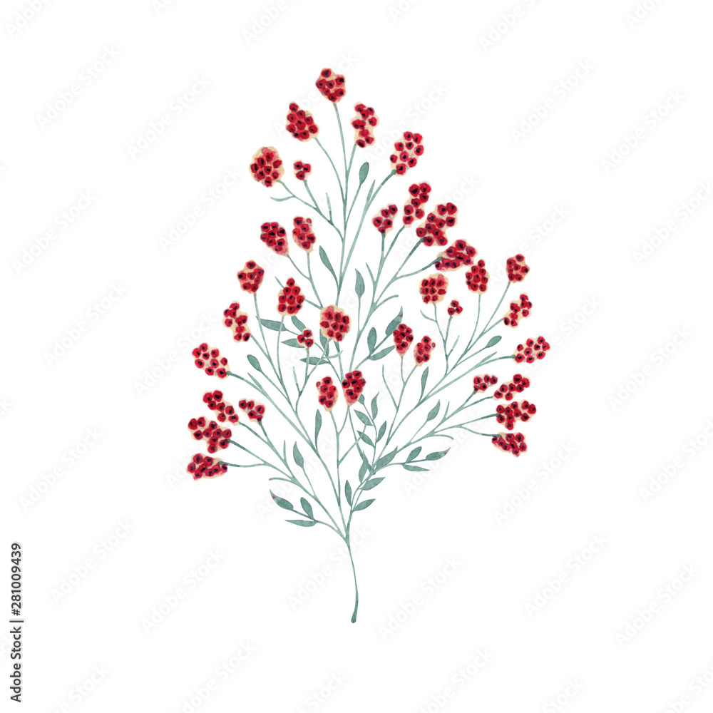 Watercolor background picture Wild flowers Watercolor background picture Wild flowers