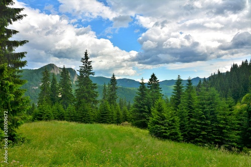 Hasmas mountains in summer photo