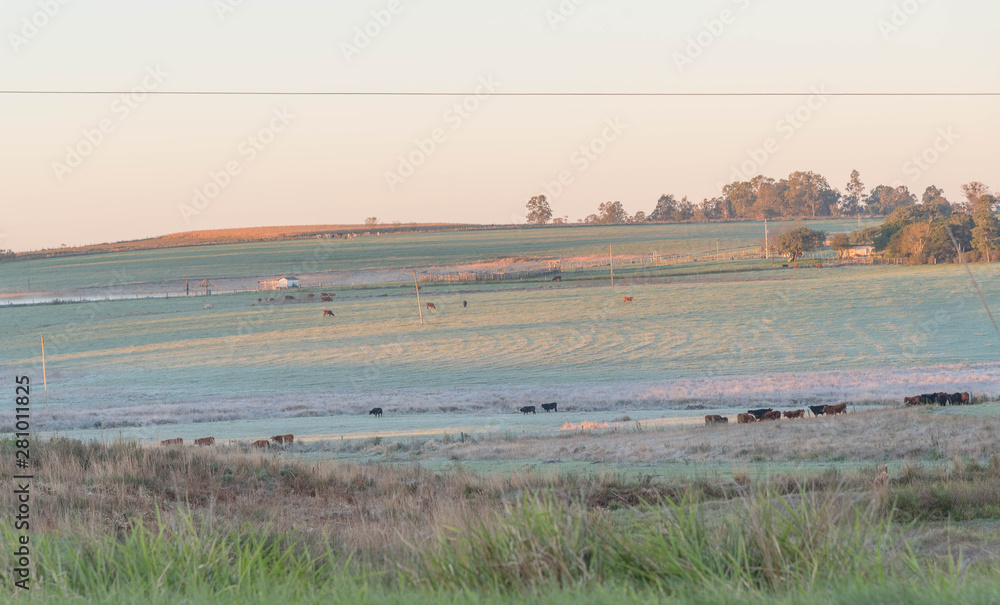 Rural landscape in early morning with frost formation 11