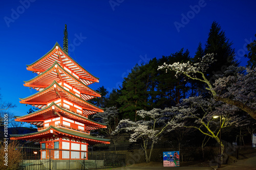 Cherry blossom at Chureito Pagoda in Arakurayama Sengen Park, Yamanashi Prefecture, Honshu, Japan photo