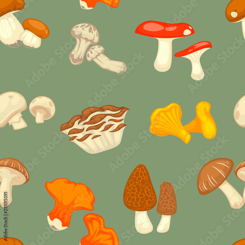 Mushrooms seamless pattern wild plants cooking ingredients